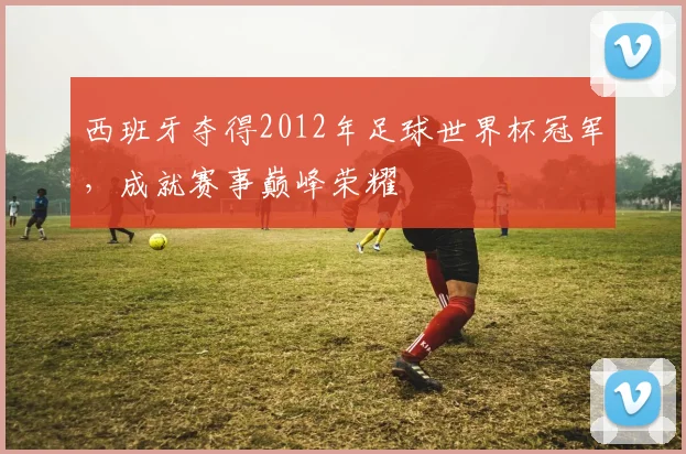 西班牙夺得2012年足球世界杯冠军,成就赛事巅峰荣耀
