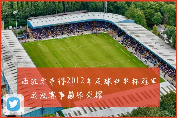 西班牙夺得2012年足球世界杯冠军，成就赛事巅峰荣耀